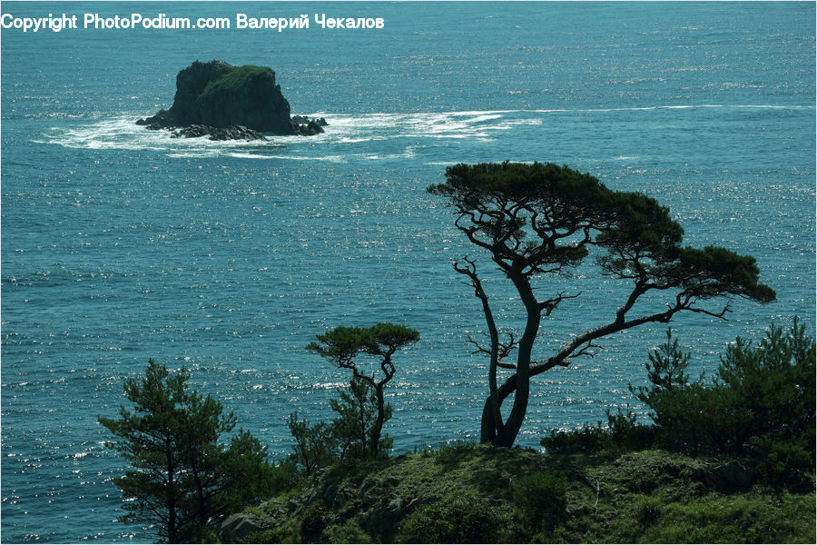 Ocean, Outdoors, Sea, Water, Coast, Beach, Cliff