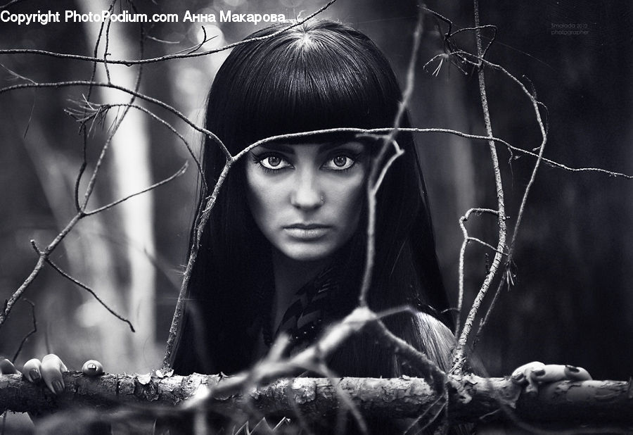 People, Person, Human, Female, Girl, Woman, Portrait