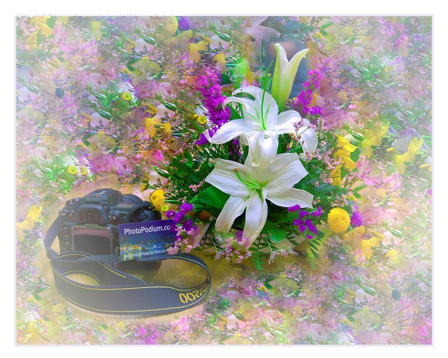 Plant, Potted Plant, Art, Flower, Flower Arrangement, Flower Bouquet, Blossom