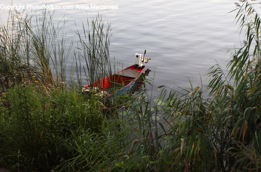 Field, Grass, Grassland, Plant, Boat, Canoe, Rowboat
