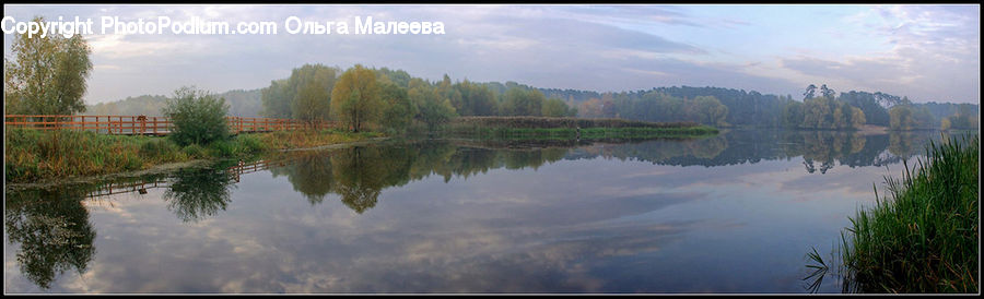 Lake, Outdoors, Water, Pond, Plant, Tree, Fence