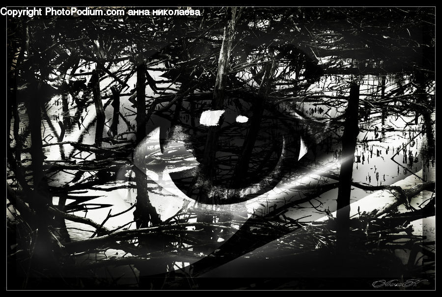 Plant, Tree, Brochure, Flyer, Poster, Lighting, Forest