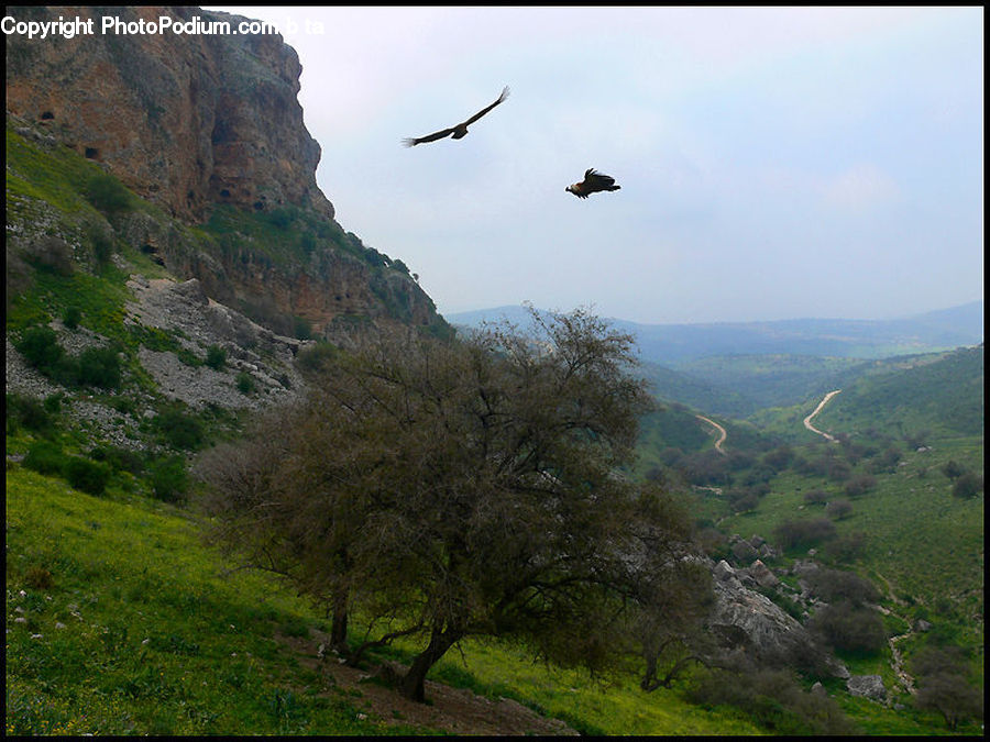 Cliff, Outdoors, Leisure Activities, Plateau, Landscape, Nature, Scenery