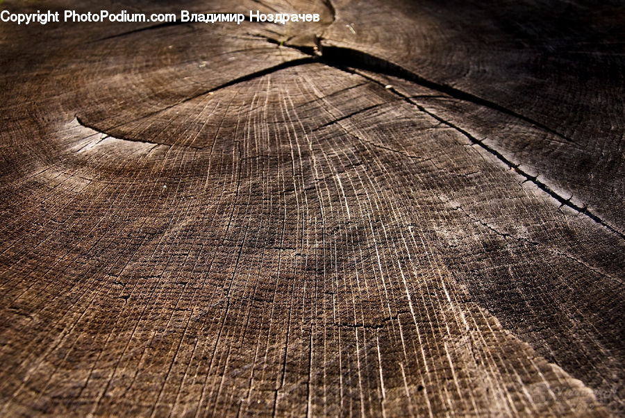 Grain, Wheat, Light