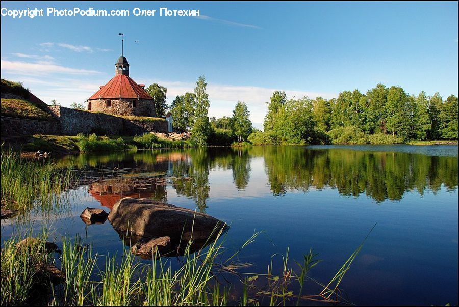 Plant, Potted Plant, Outdoors, Pond, Water, Land, Marsh