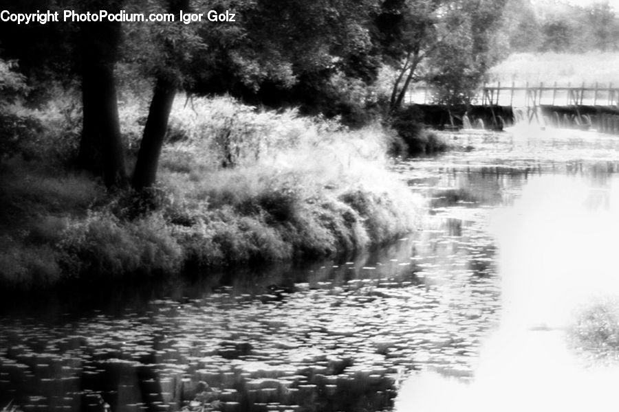 Fog, Mist, Outdoors, Pond, Water, River, Plant