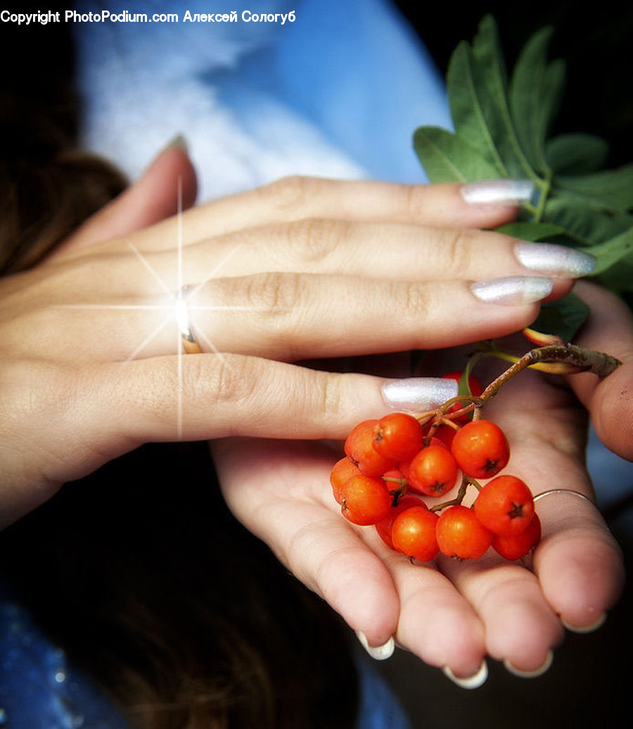 People, Person, Human, Produce, Tomato, Vegetable, Fruit