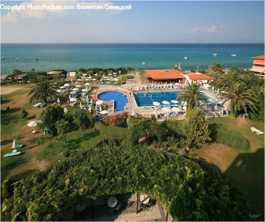 Plant, Potted Plant, Hotel, Resort, Aerial View, Pool, Water