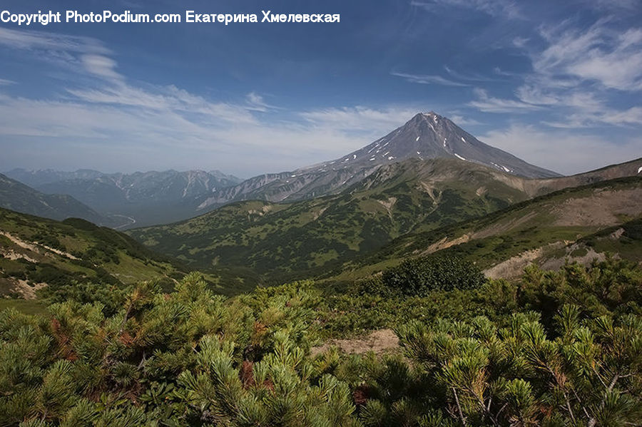 Plant, Potted Plant, Crest, Mountain, Outdoors, Peak, Vegetation