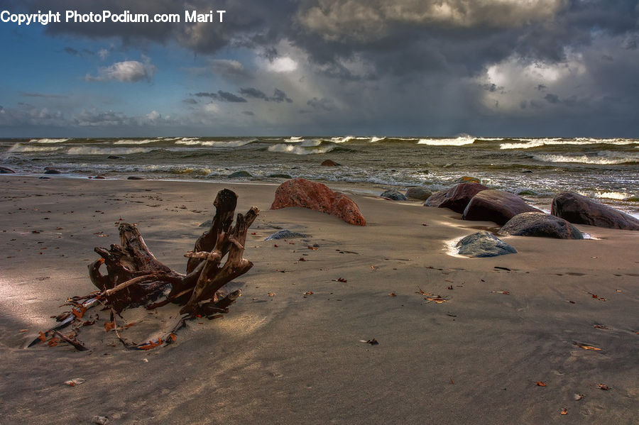 Beach, Coast, Outdoors, Sea, Water, Driftwood, Wood