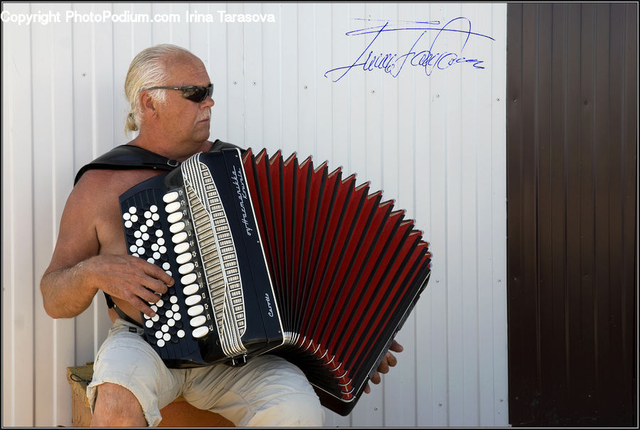 Accordion, Musical Instrument, People, Person, Human