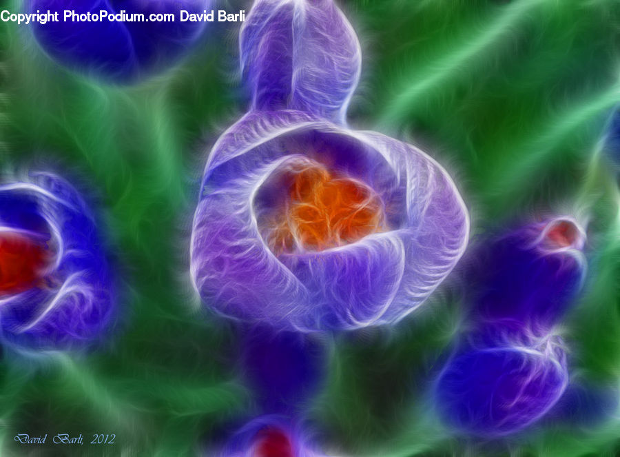 Fractal, Light, Plasma, Planet, Universe, Blossom, Flora