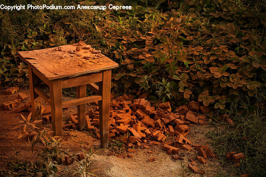 Dining Table, Furniture, Table, Moss, Plant, Coffee Table, Bench
