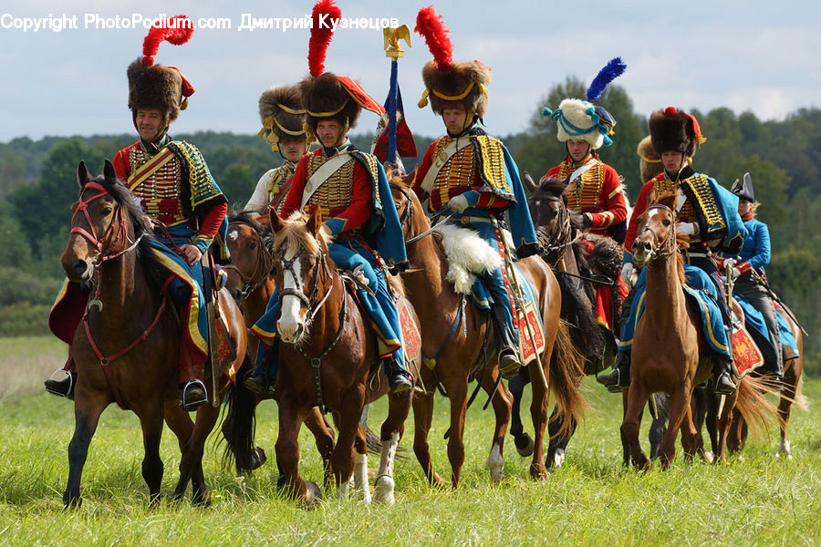 Animal, Horse, Mammal, People, Person, Human, Equestrian