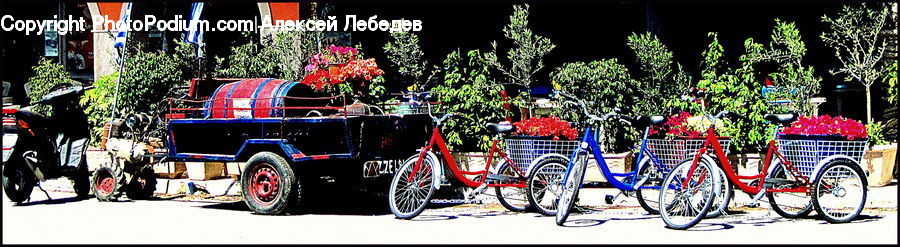 Bicycle, Bike, Vehicle, Motor, Motorcycle, Carnival, Crowd