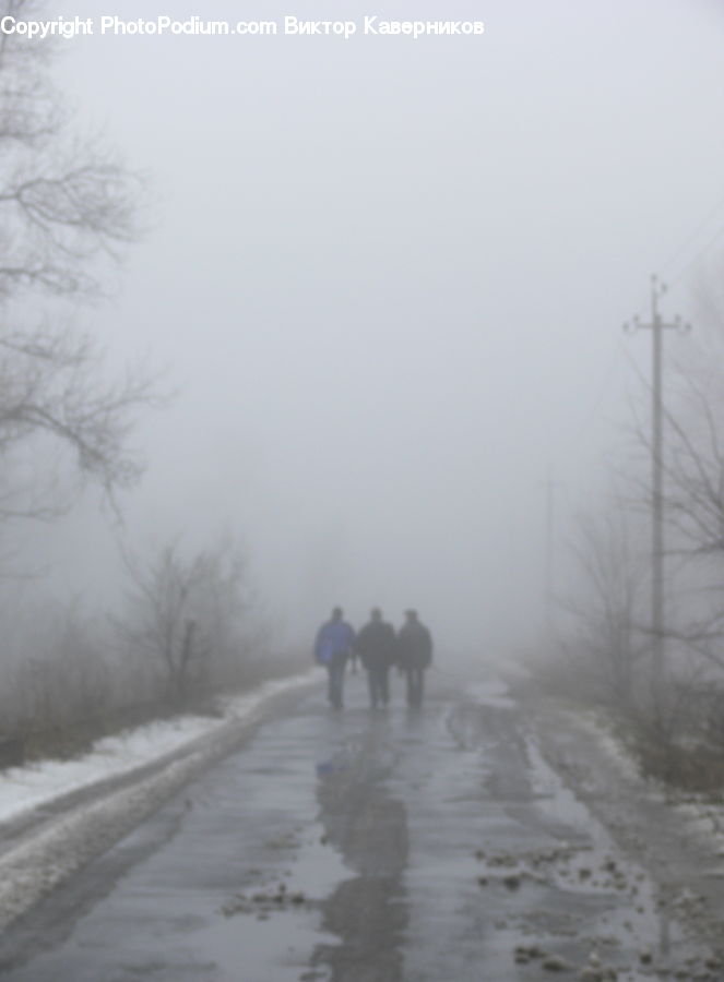 Animal, Horse, Mammal, Fog, Pollution, Smog, Smoke