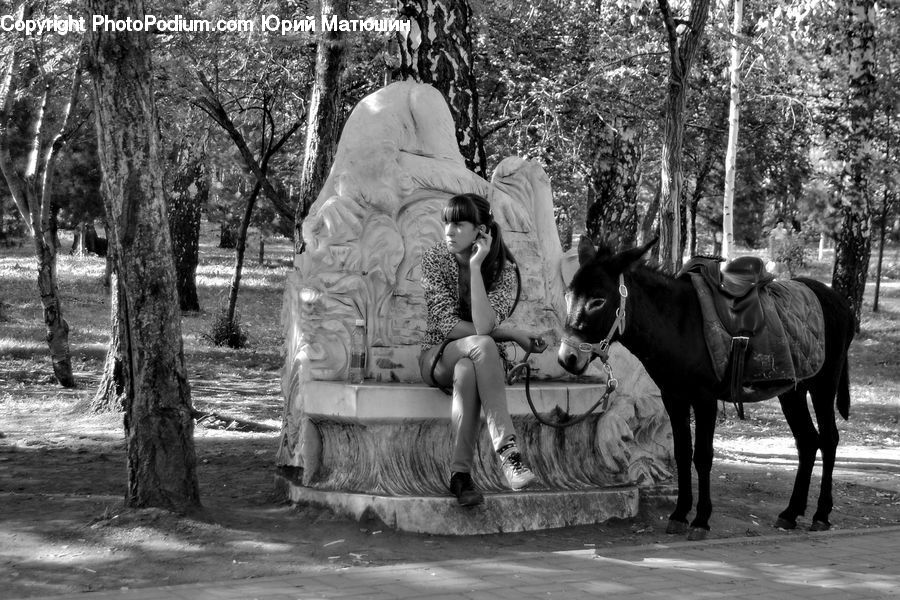 People, Person, Human, Animal, Horse, Mammal, Bench