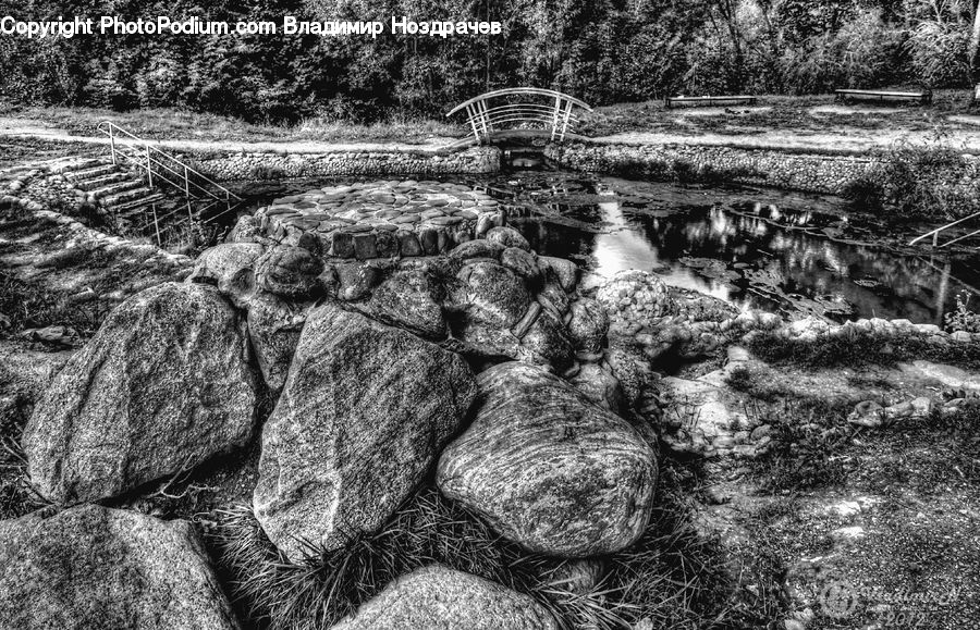 Field, Rock, Outdoors, Plant, Tree, Countryside, Forest