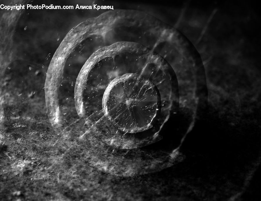 Spiral