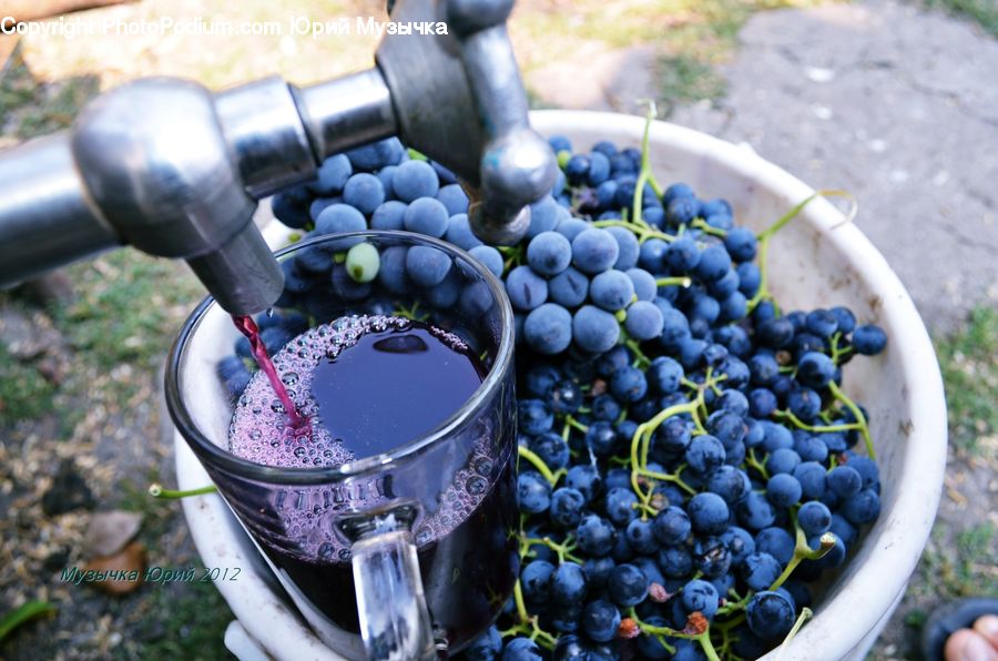 Blueberry, Fruit, Grapes