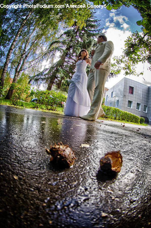 People, Person, Human, Bride, Gown, Wedding, Asphalt