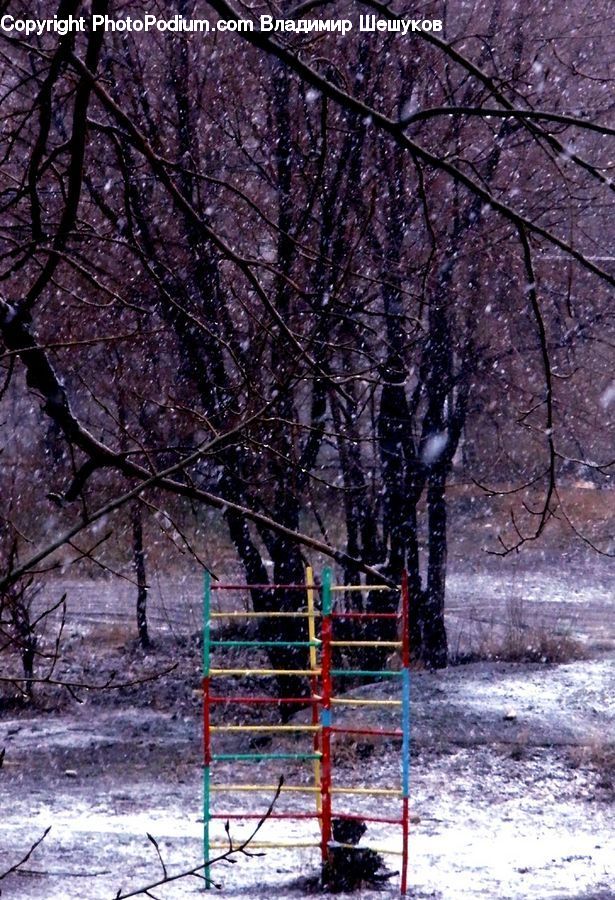Birch, Tree, Wood, Playground, Plant, Blossom, Flora