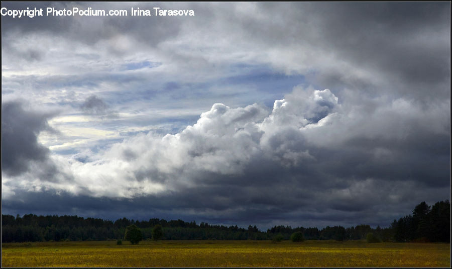 Cloud, Cumulus, Sky, Azure Sky, Outdoors, Field, Grass