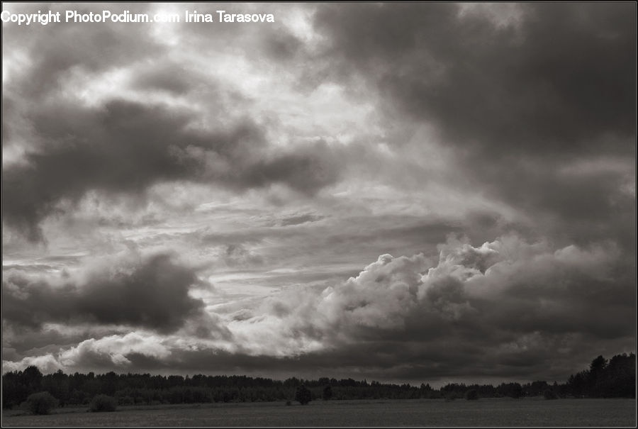 Cloud, Cumulus, Sky, Outdoors, Storm, Weather