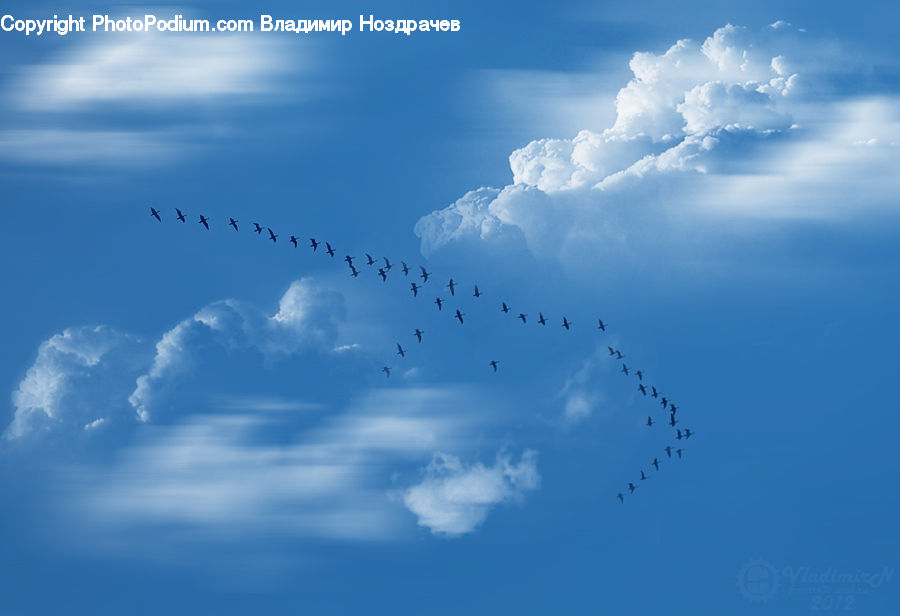 Azure Sky, Cloud, Outdoors, Sky, Cumulus