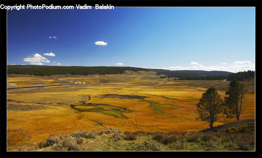 Field, Grass, Grassland, Land, Outdoors, Plateau, Plant