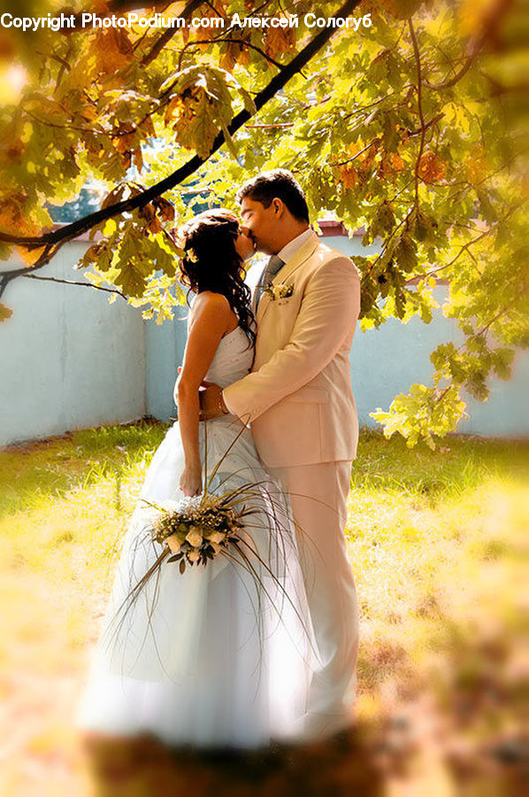 People, Person, Human, Bridesmaid, Bride, Gown, Wedding