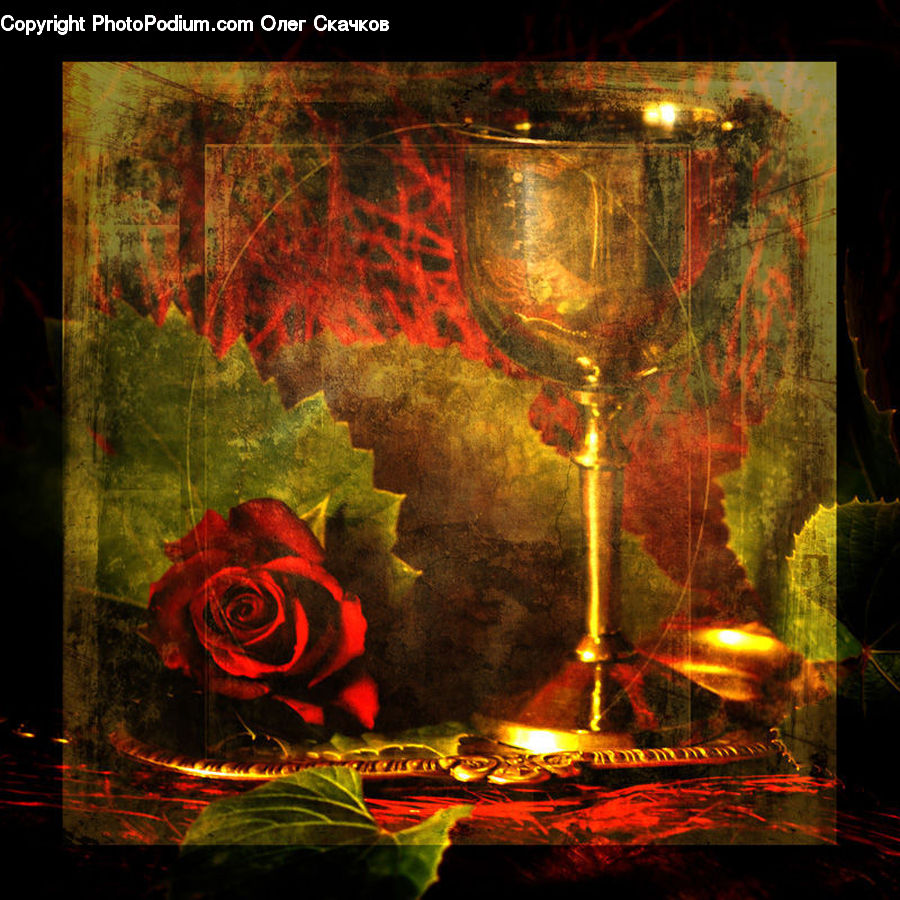 People, Person, Human, Glass, Goblet, Art, Modern Art