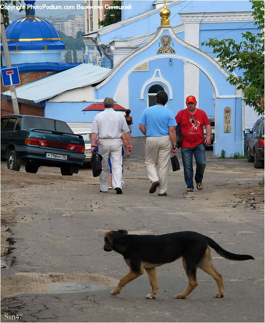 Human, People, Person, Automobile, Car, Vehicle, Tourist