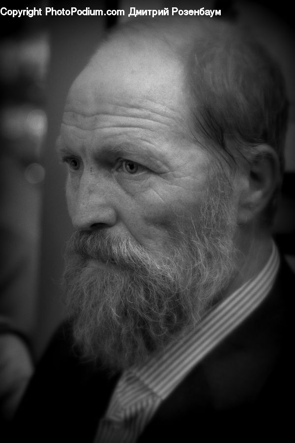 People, Person, Human, Beard, Hair, Portrait, Selfie