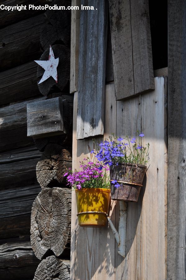 Plant, Potted Plant, Pot, Pottery, Rock, Building, Hut
