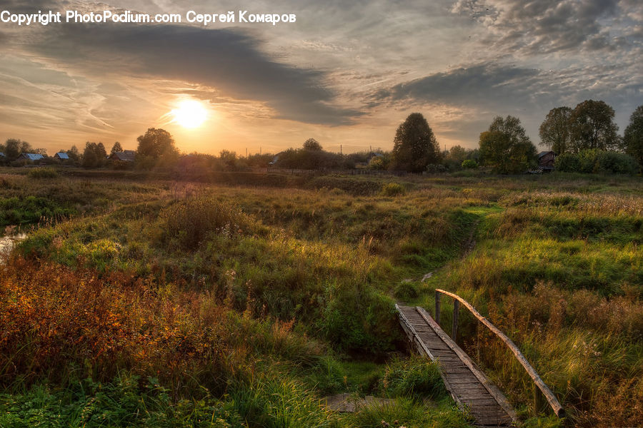 Field, Grass, Grassland, Land, Outdoors, Plant, Landscape
