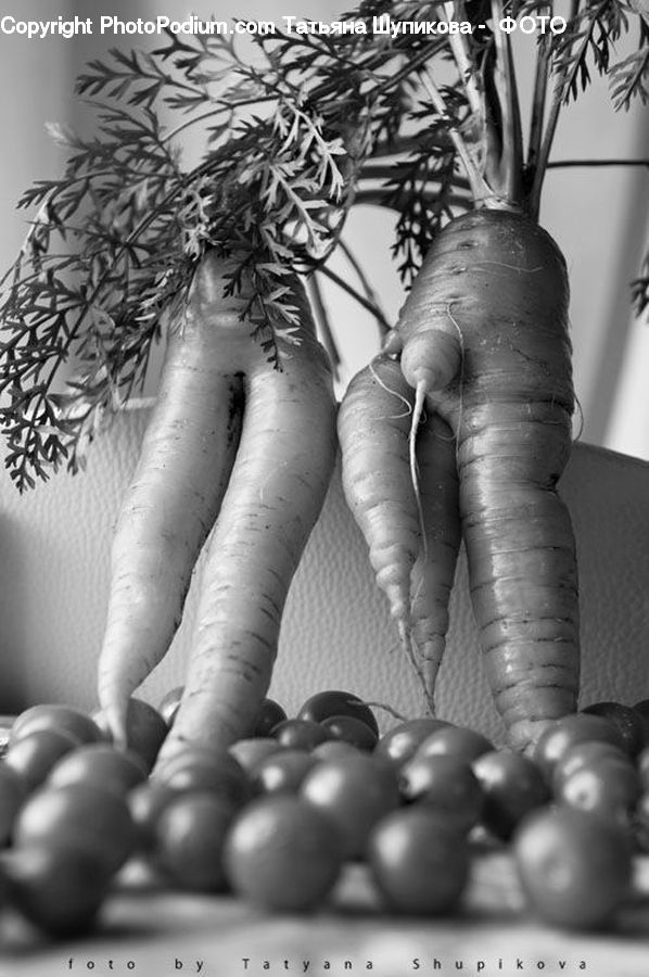 People, Person, Human, Jar, Porcelain, Vase, Produce