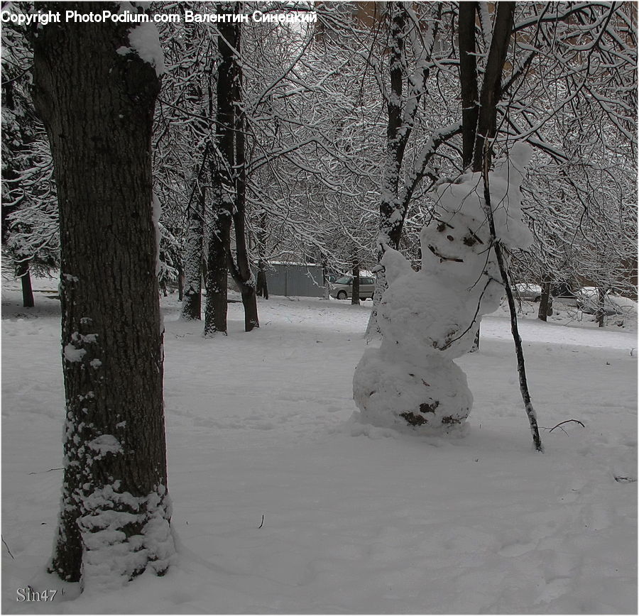 Ice, Snow, Snowman, Winter, Outdoors, Birch, Tree