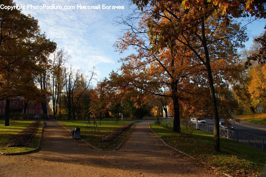 Path, Road, Walkway, Dirt Road, Gravel, Building, Architecture