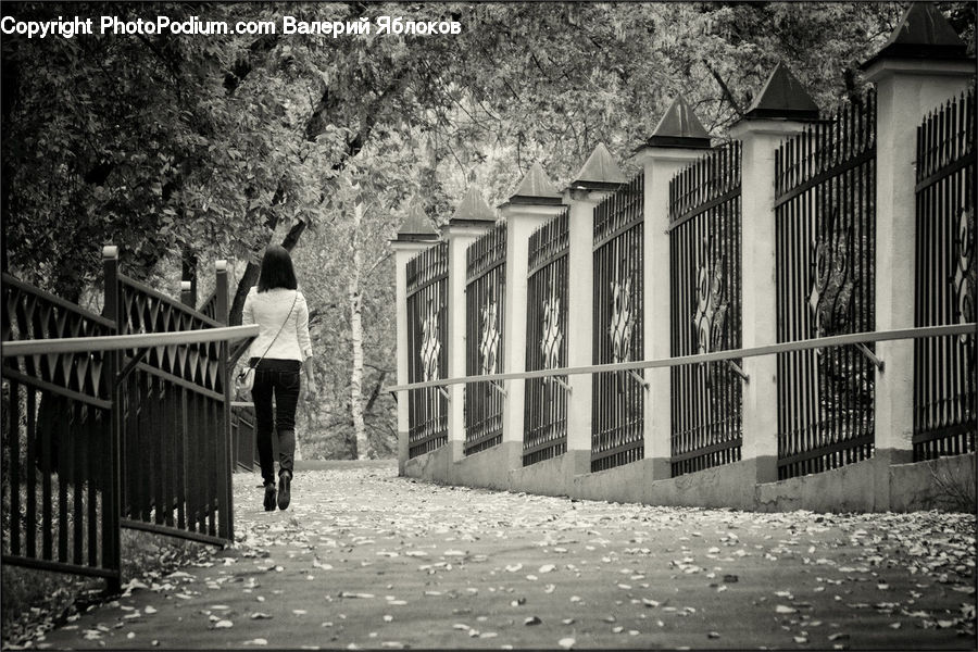 Alley, Alleyway, Road, Street, Town, Crypt, Building
