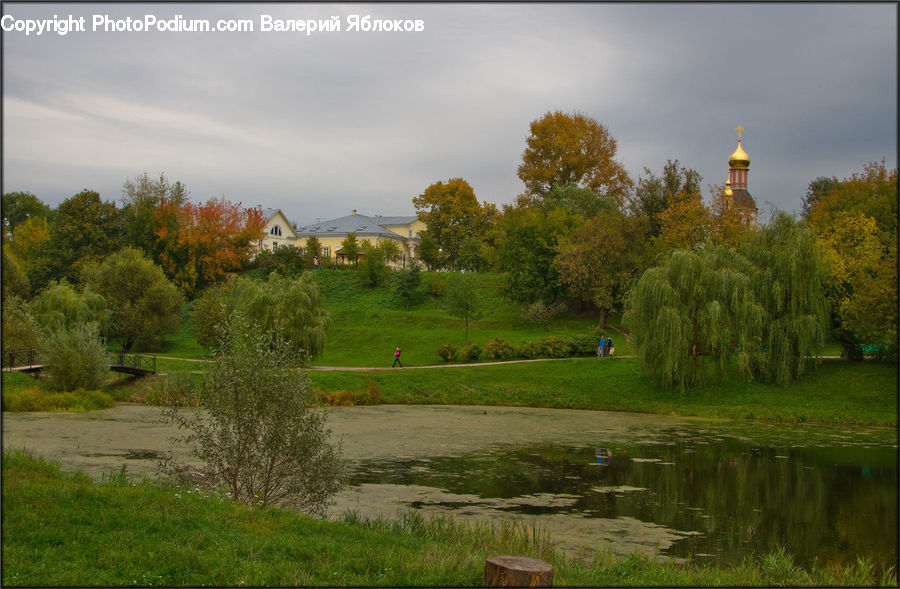 Golf Course, Grassland, Field, Grass, Land, Outdoors, Park