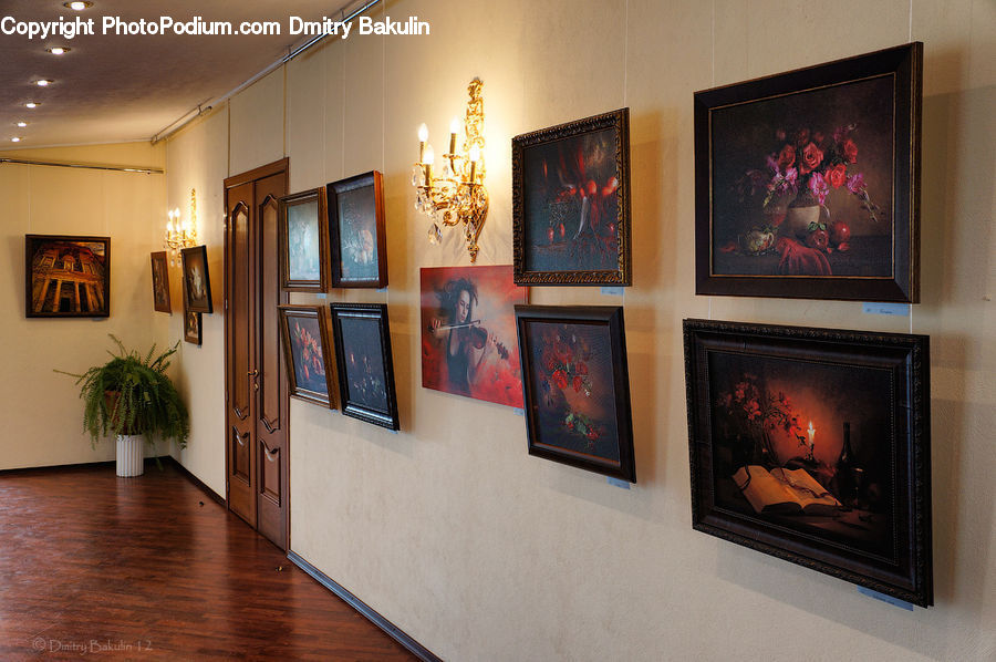 Plant, Potted Plant, People, Person, Human, Art, Art Gallery