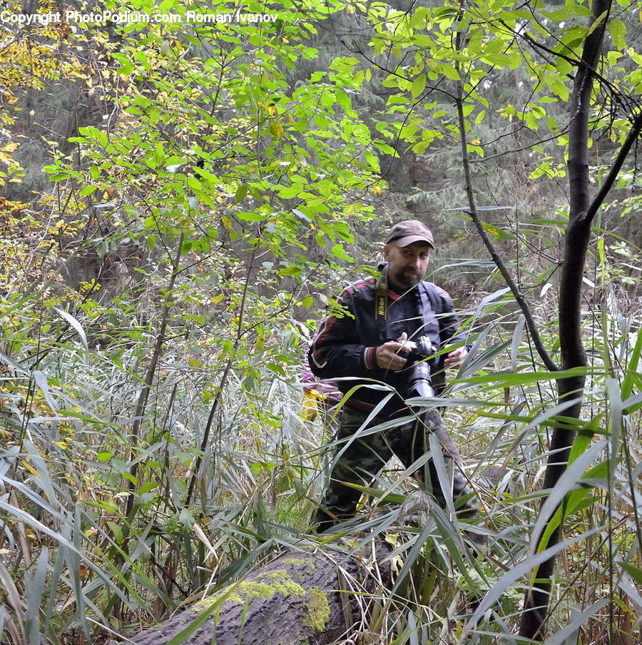 People, Person, Human, Forest, Vegetation, Jungle, Outdoors