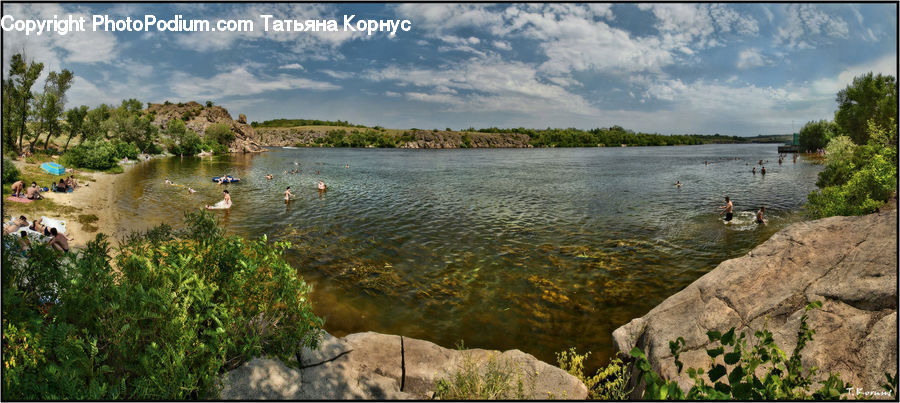 Forest, Jungle, Rainforest, Vegetation, Lake, Outdoors, Water
