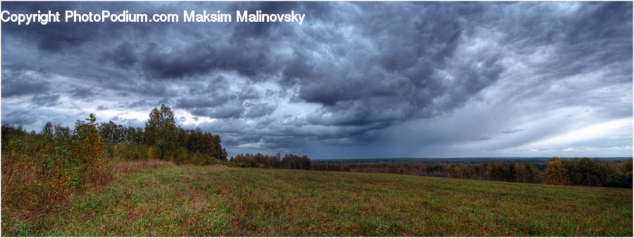 Field, Grass, Grassland, Land, Outdoors, Cloud, Cumulus