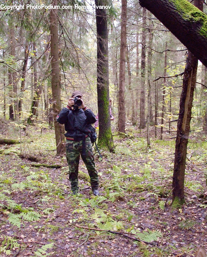 Human, People, Person, Weapon, Forest, Vegetation, Grove