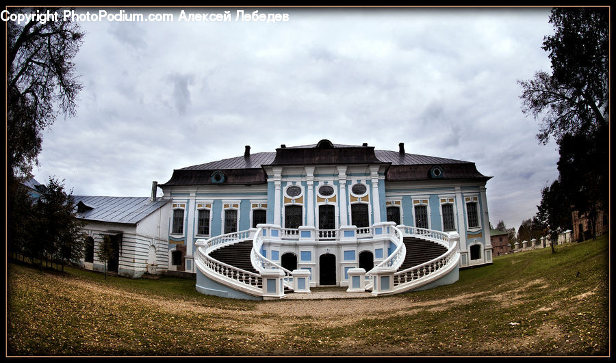 Architecture, Mansion, Plant, Tree, Building, House, Housing