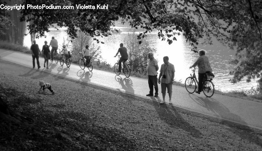 People, Person, Human, Bicycle, Bike, Vehicle, Hand