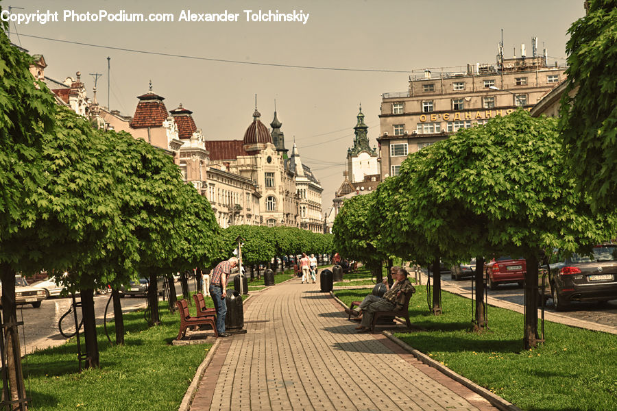 Bench, Architecture, Castle, Fort, Mansion, Palace, Path