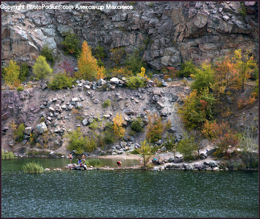Cliff, Outdoors, Plant, Vegetation, Landscape, Nature, Scenery